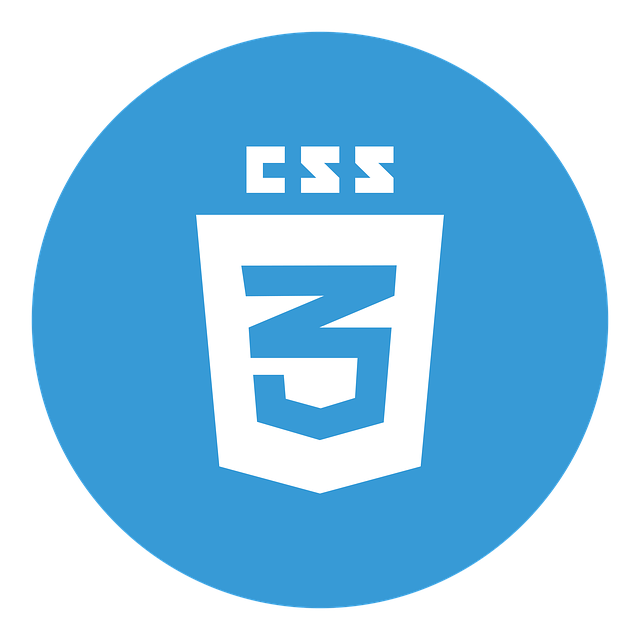 css card